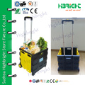 Caja plástica fácil plegable carrito de la compra